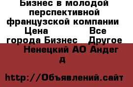 Бизнес в молодой перспективной французской компании › Цена ­ 30 000 - Все города Бизнес » Другое   . Ненецкий АО,Андег д.